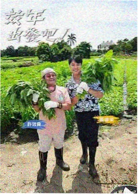 解忧杂货铺 综艺在线观看